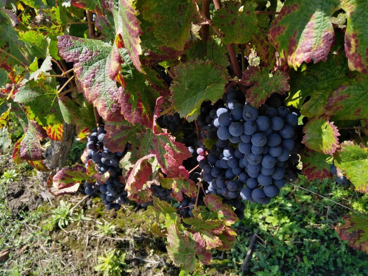 L'Echappee Belle En Champagne Villa Spoy  Eksteriør bilde
